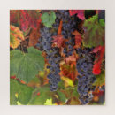 Search for harvest puzzles Autumn colours