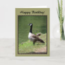 Search for canadian wildlife cards Goose