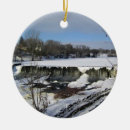 Search for milwaukee christmas tree decorations Winter