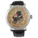 Search for singing watches Bird