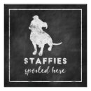 Search for staffy posters Staffordshire