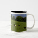 Search for holstein cows mugs Outdoors