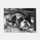 Search for boxer doormats Canine