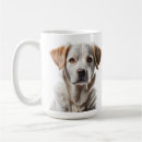 Search for sweet brown mugs Pet