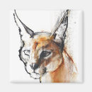 Search for wildcat magnets Feline
