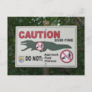 Search for funny no sign postcards Alligator