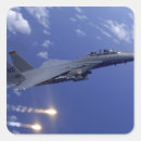 Search for strike eagle stickers Military