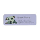 Search for head return address labels Pet