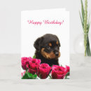 Search for rottie birthday cards Puppy