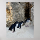 Search for beach kids posters Aquatic
