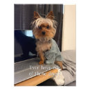 Search for yorkshire terrier posters Funny
