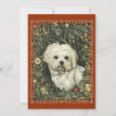 Search for bichon frise christmas cards Cute
