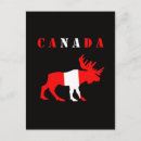 Search for cute moose postcards Wildlife