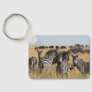 Search for zebra key rings Wildlife