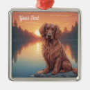 Search for irish setter christmas tree decorations Pets