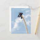 Search for fly high postcards Flying