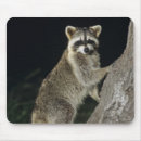 Search for natural world mousepads Nature