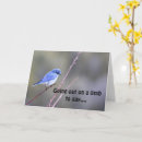 Search for limbs cards Photography