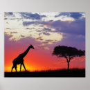 Search for game park posters Masai mara national park