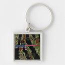 Search for american states key rings National