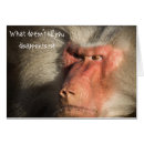 Search for baboon Monkey