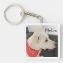 Search for for dog lovers key rings Adorable