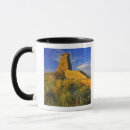 Search for eroded mugs Formation