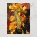 Search for oceanlife postcards Coral