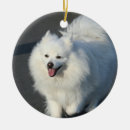 Search for american eskimo dog christmas tree decorations Spitz