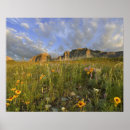 Search for many glacier posters Landscape