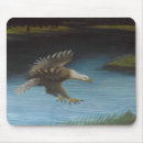 Search for bald eagle mousepads Raptors