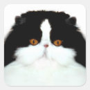 Search for tuxedo cat stickers Animal