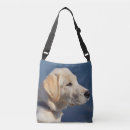 Search for ducks handbags Mallard