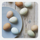 Search for whole stickers Photography