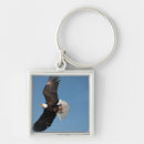 Search for bird of prey key rings Flight