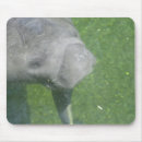 Search for manatee mousepads Wildlife