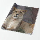 Search for landscapes wrapping paper Nature