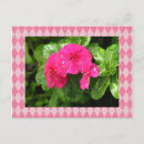 Search for periwinkle postcards Nature