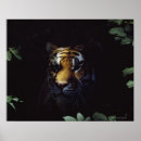 Search for tiger look posters Horizontal