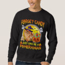 Search for pome Pomeranian girl