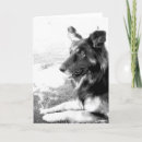 Search for white german shepherd cards Black and white
