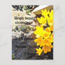 Search for beautiful quote postcards Beauty
