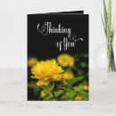 Search for blankness cards Beautiful