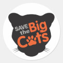 Search for lion graphic stickers Big cats