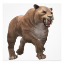 Search for tooth posters Smilodon