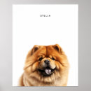 Search for chow puppy posters Dog lover