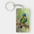 Search for hummingbird key rings Colourful