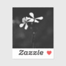 Search for black white floral stickers Garden
