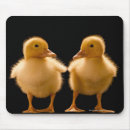 Search for two faces mousepads Animal