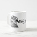 Search for goshawk Bird